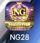 NG28南宫